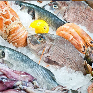 Frozen Seafoods